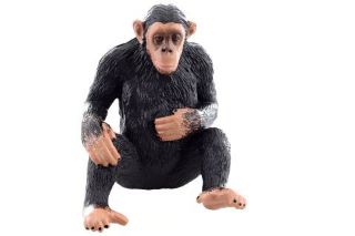 Obrázek z Figurka Šimpanz 